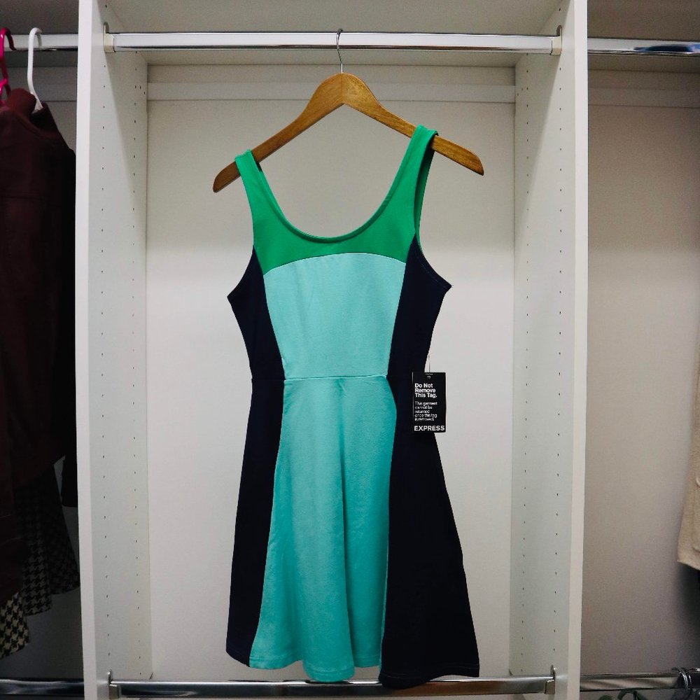 #Express fit n’ flare dress